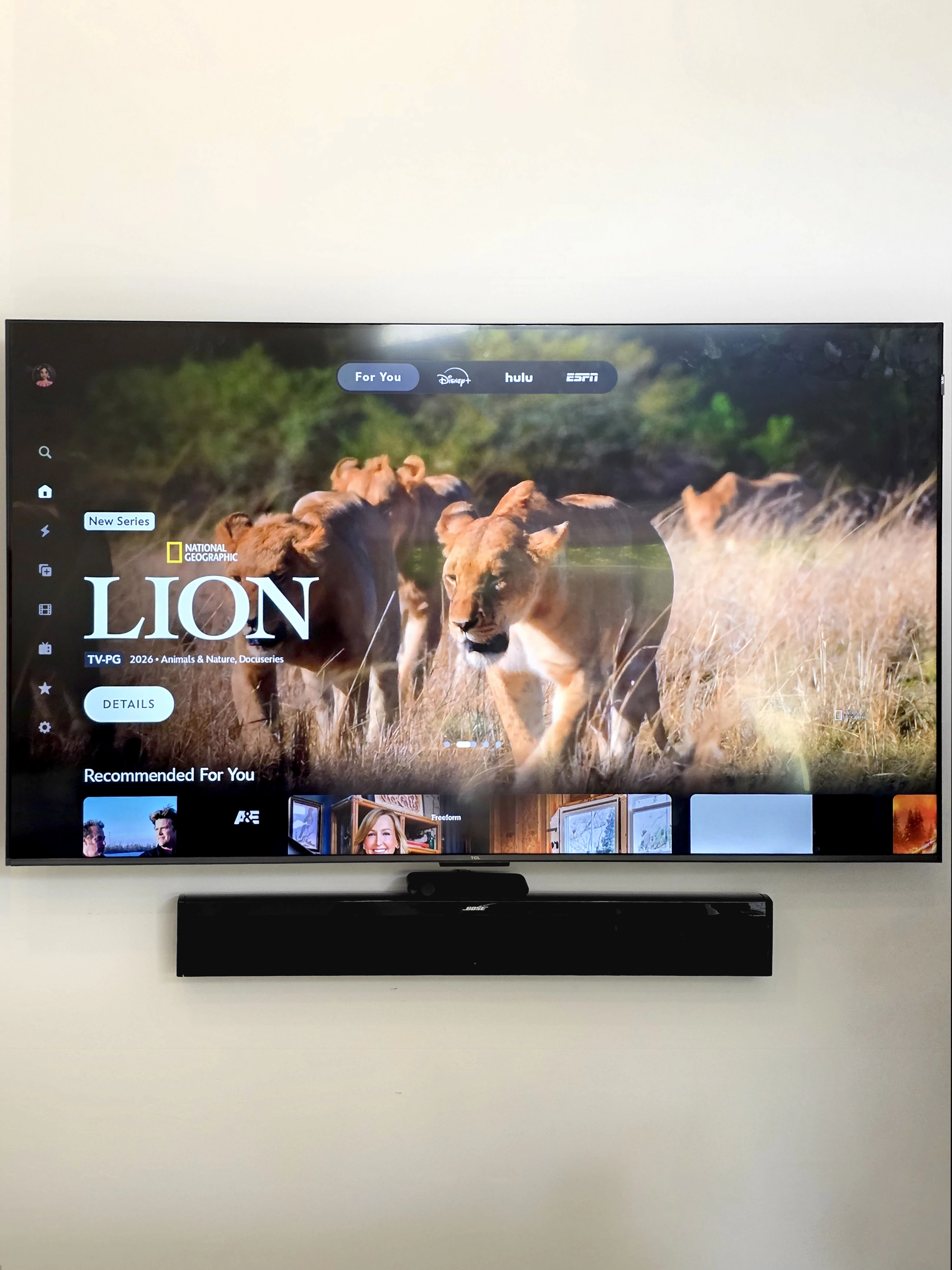 Wall-mounted television and Bose soundbar